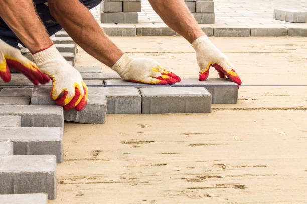 Best Local Driveway Pavers  in Hollywood, FL