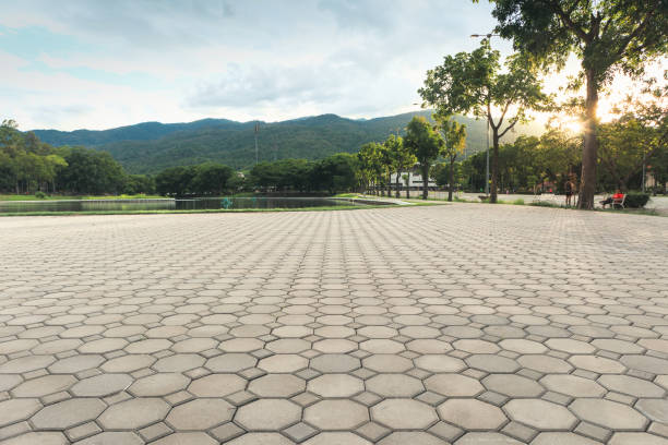 Best Decorative Driveway Pavers  in Hollywood, FL